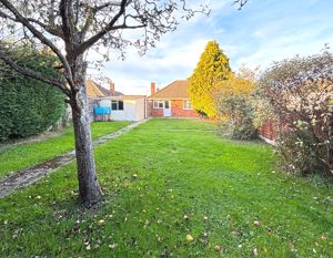 Photo 8- click for photo gallery